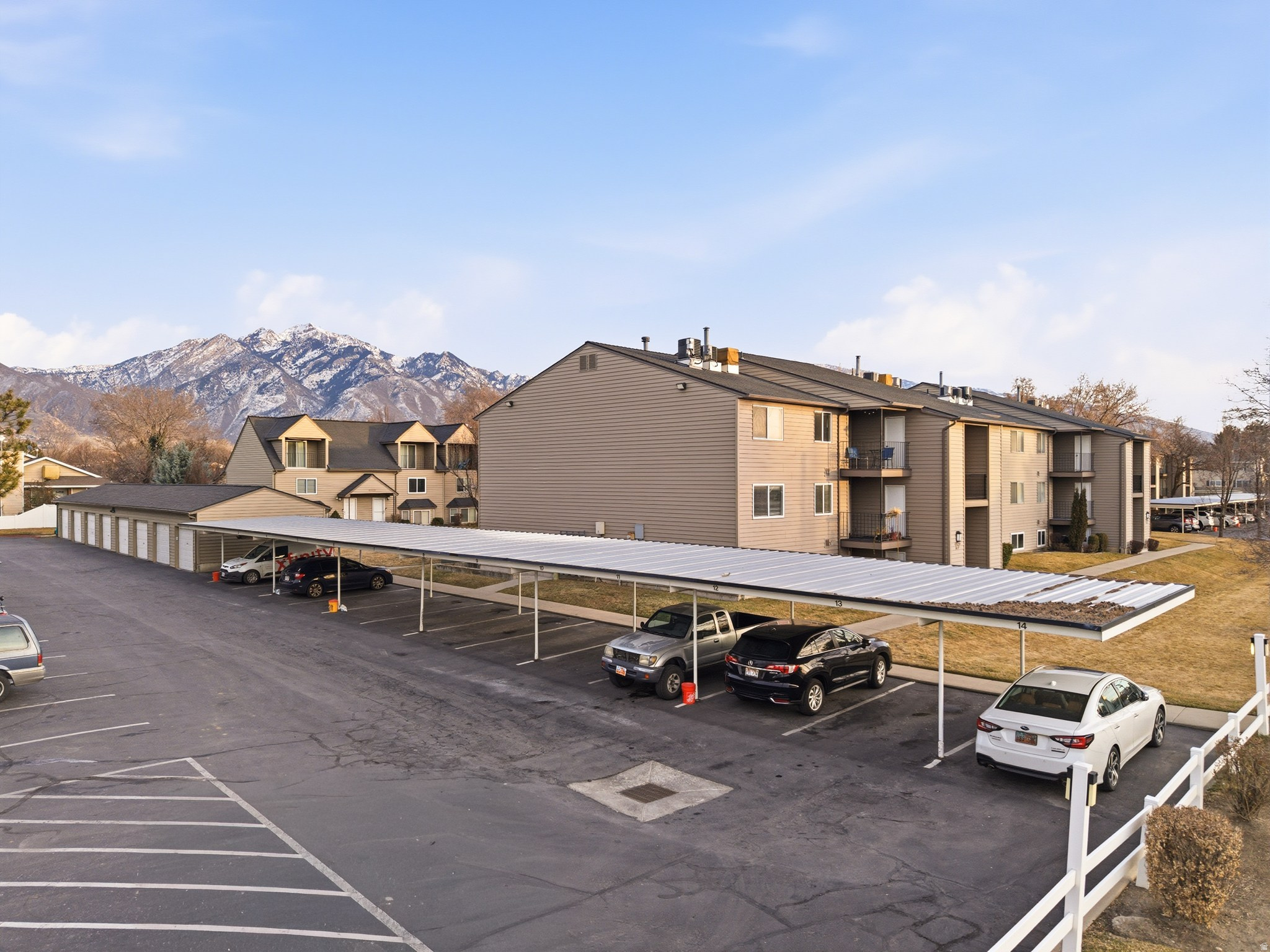 COTTON WOODS VINE - Residential