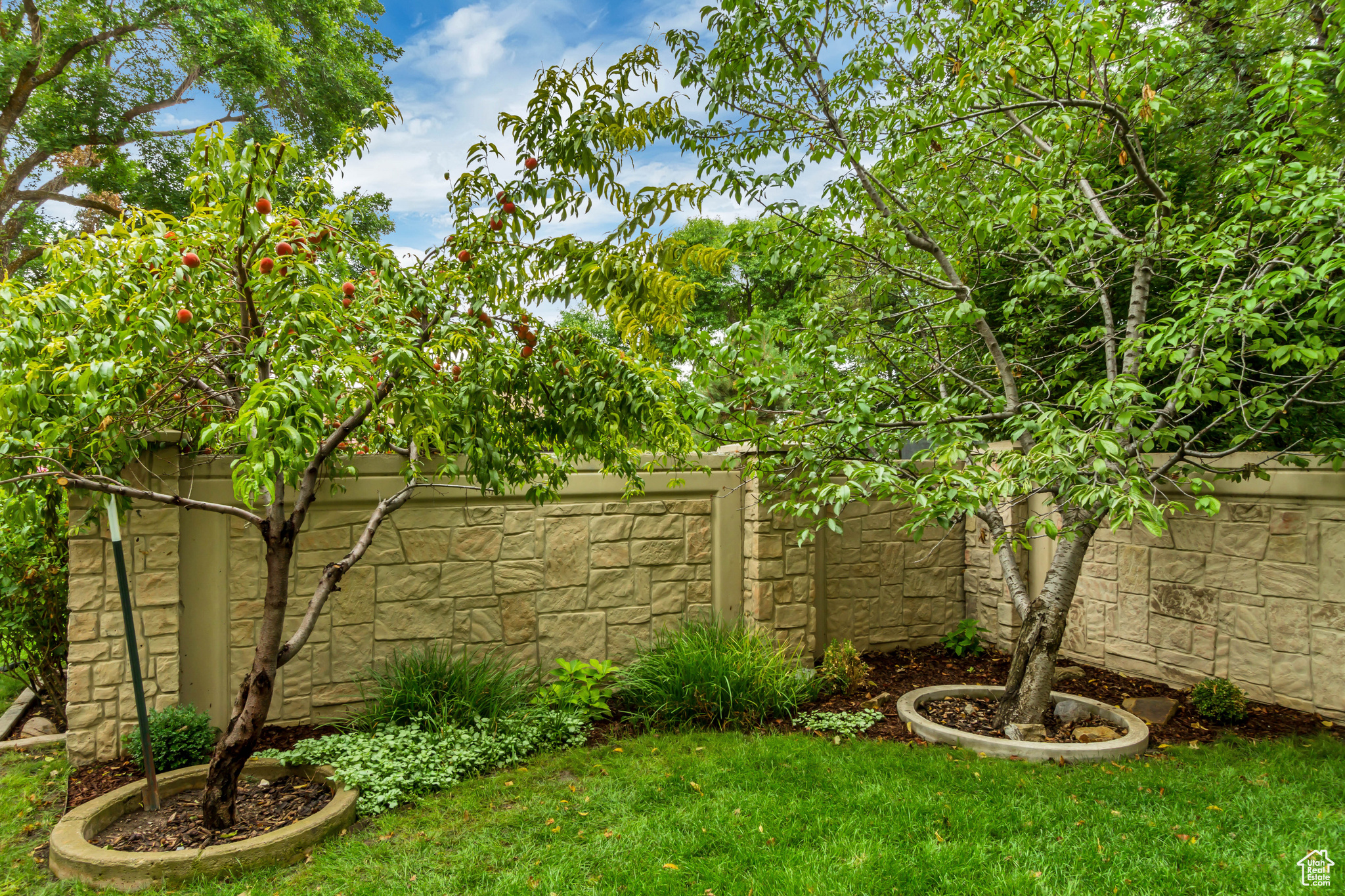 WINDER PARK PLACE - Residential