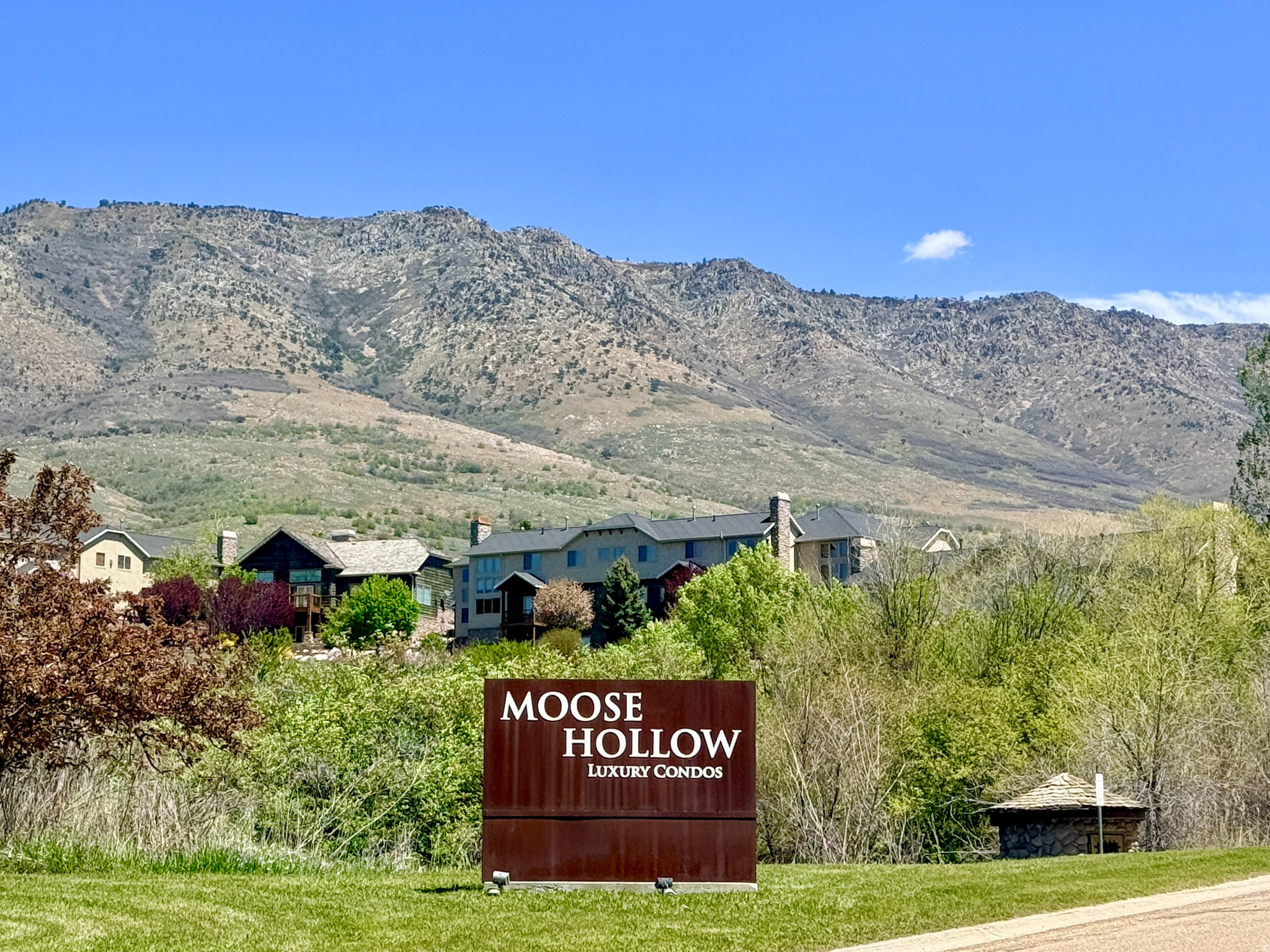 MOOSE HOLLOW - Residential