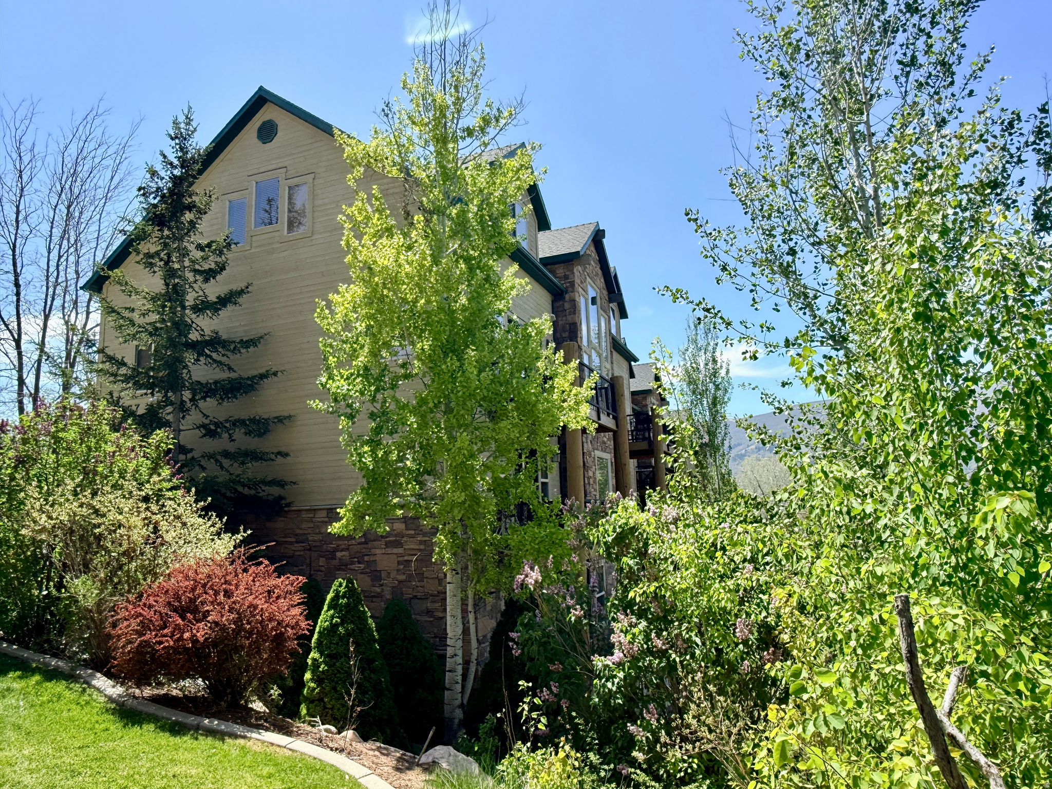 MOOSE HOLLOW - Residential