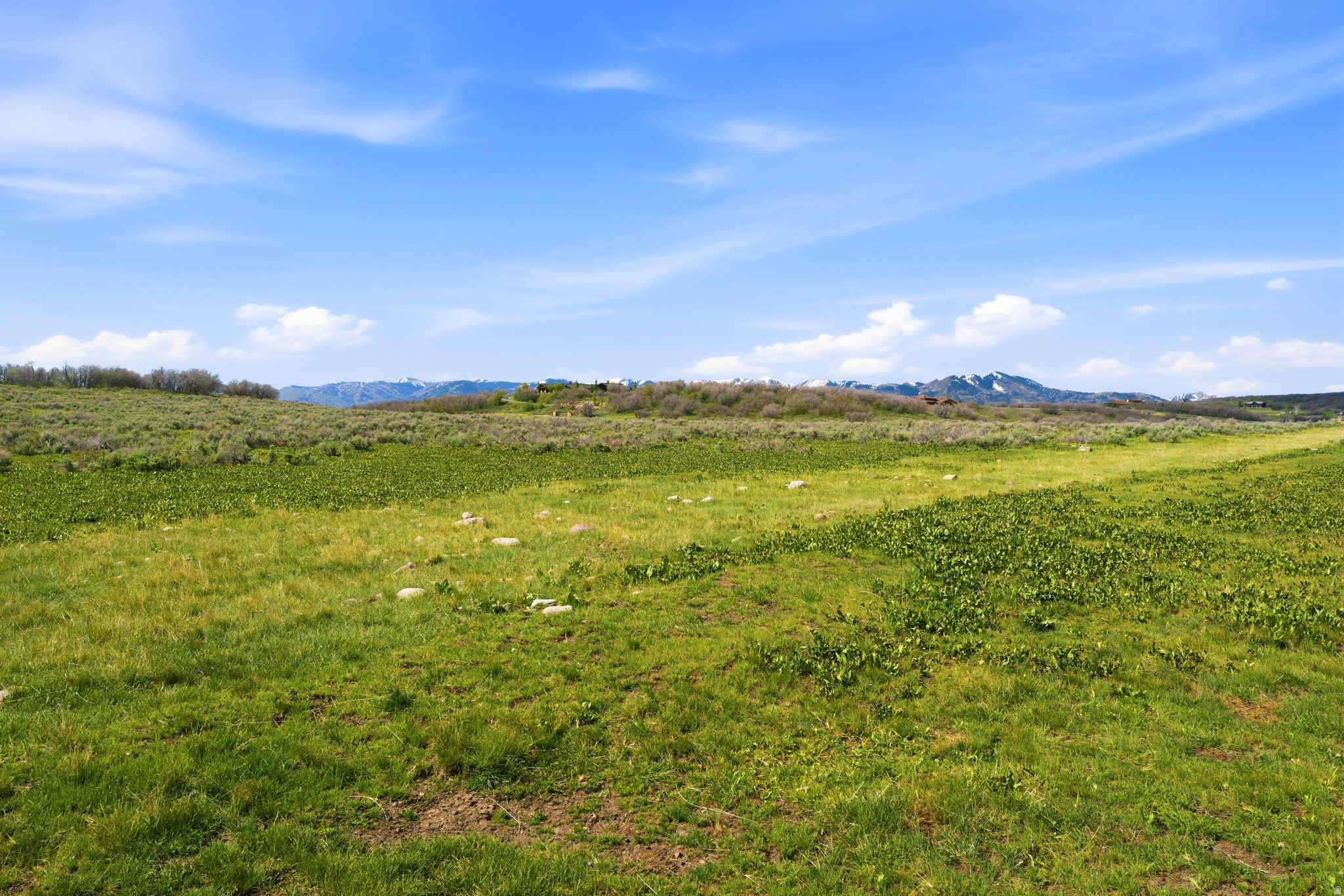 PRESERVE PHASE 2 SUBDIVISION - Land