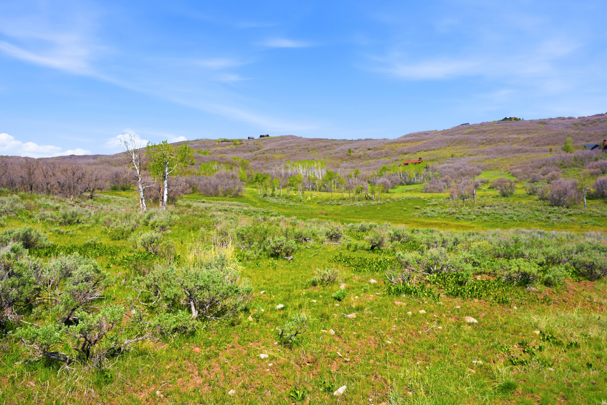 PRESERVE PHASE 2 SUBDIVISION - Land