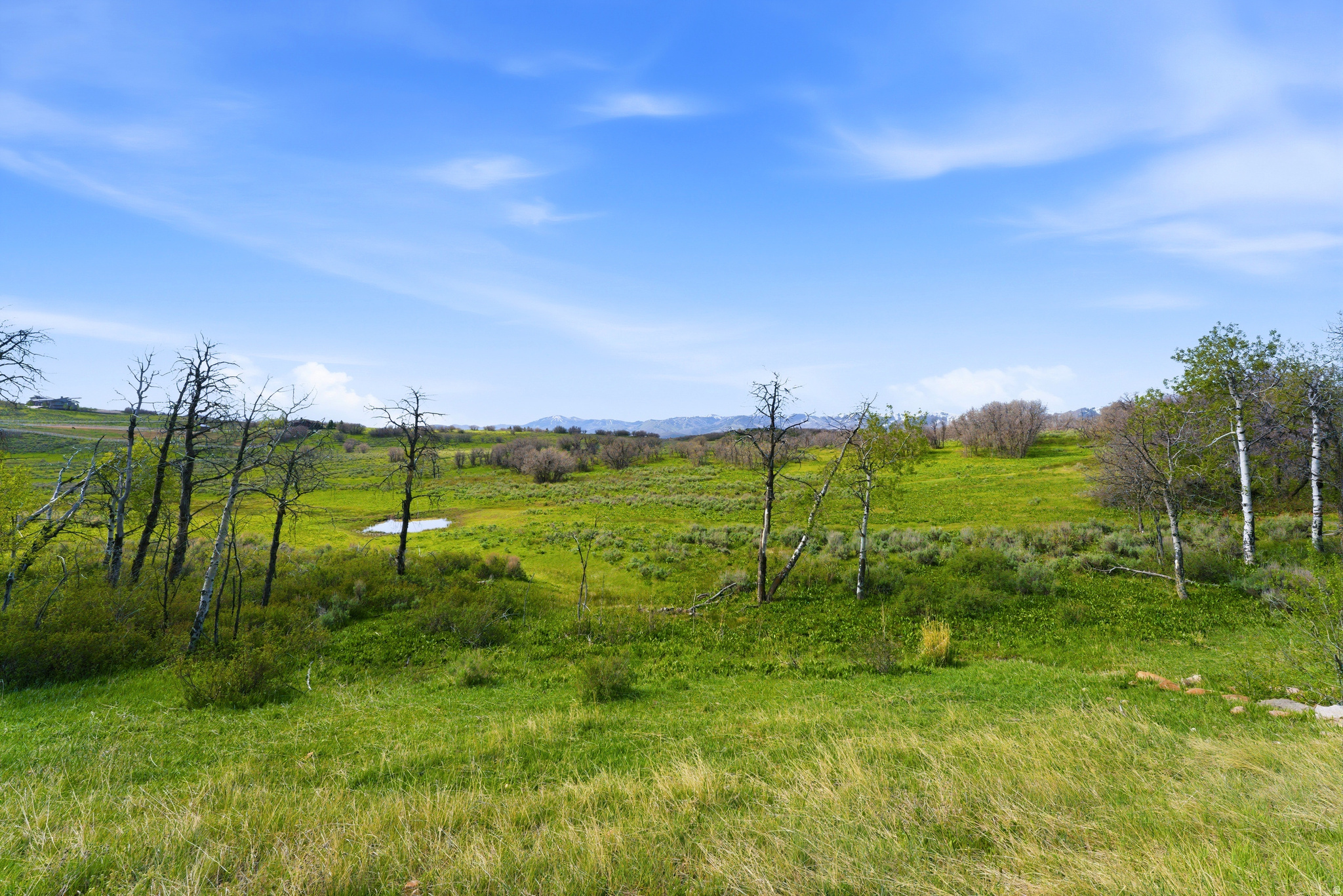 PRESERVE PHASE 2 SUBDIVISION - Land