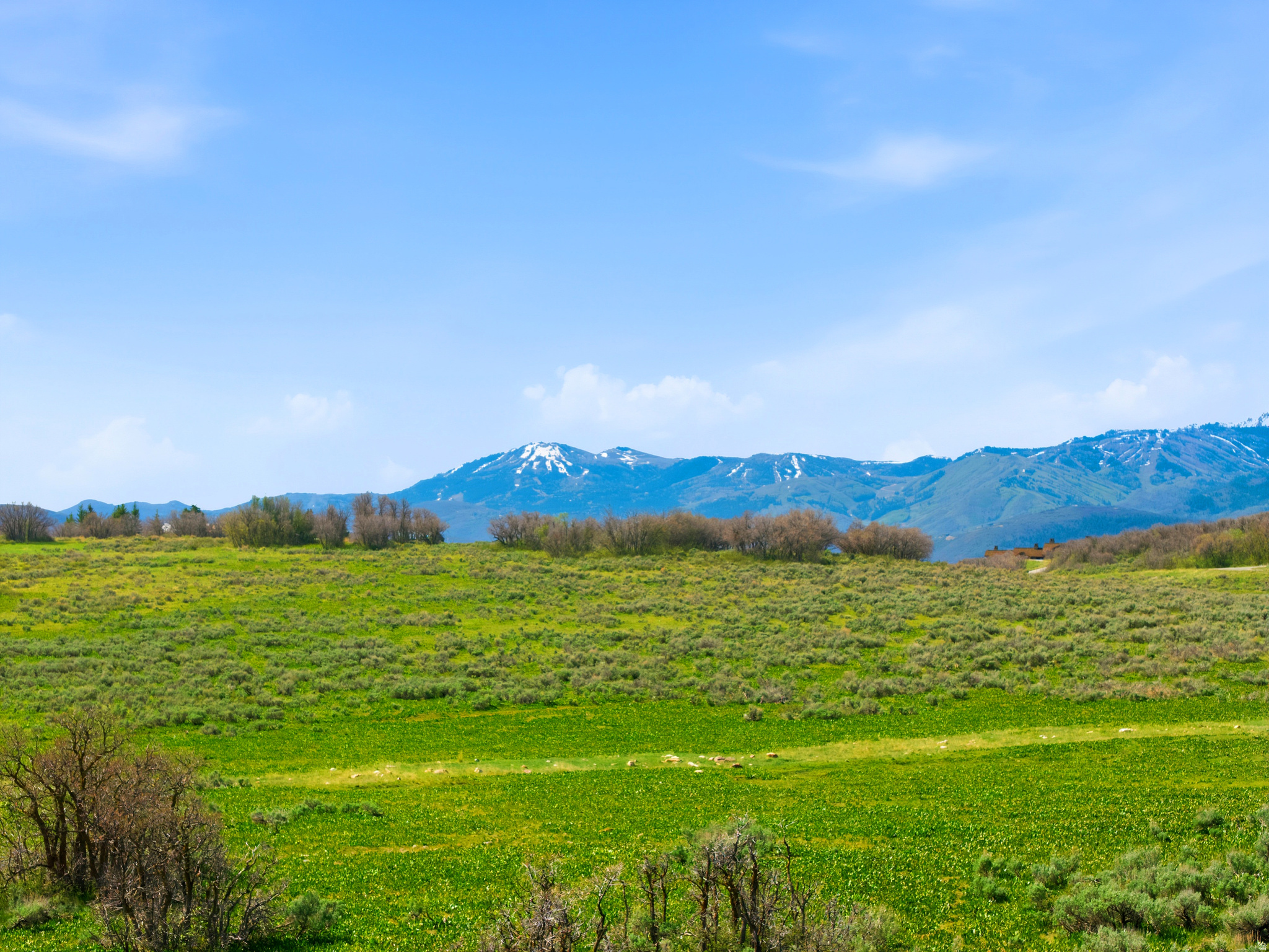 PRESERVE PHASE 2 SUBDIVISION - Land