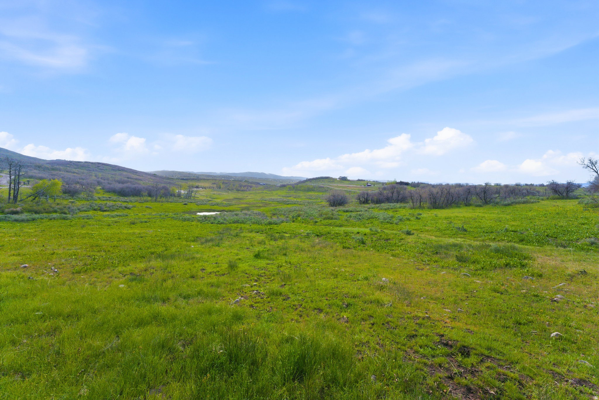 PRESERVE PHASE 2 SUBDIVISION - Land