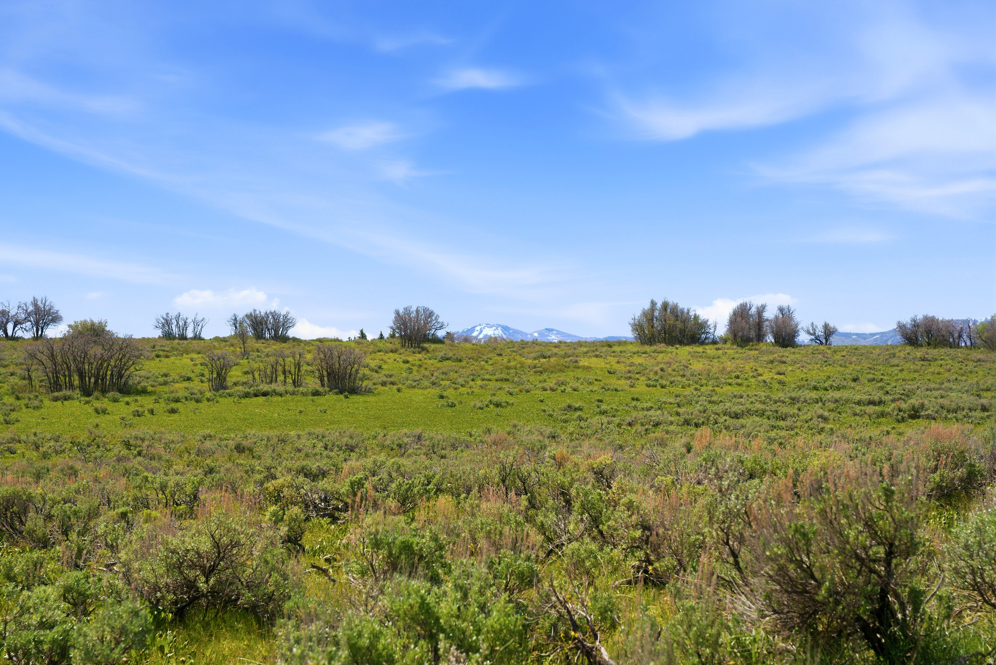 PRESERVE PHASE 2 SUBDIVISION - Land