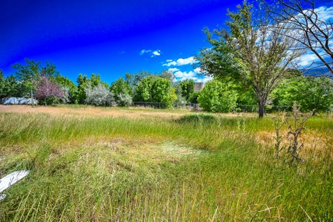 Vacant Land For Sale - 847 E Willow Springs Ln<br/> Draper, UT 84020