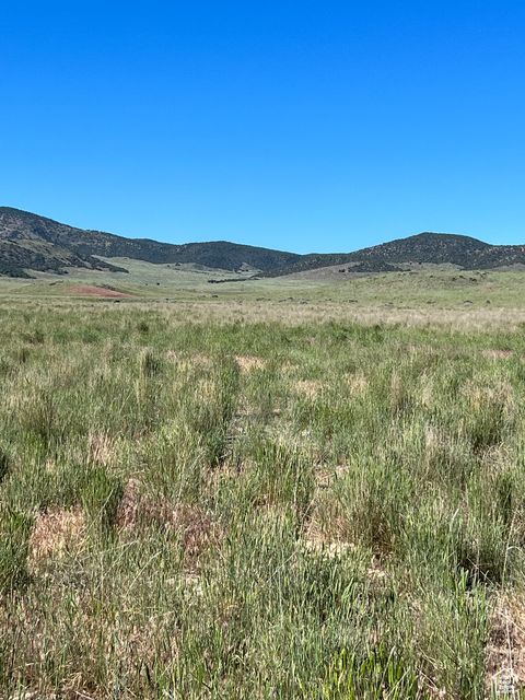 Vacant Land For Sale - Land<br/> Juab County, Levan, UT 84639