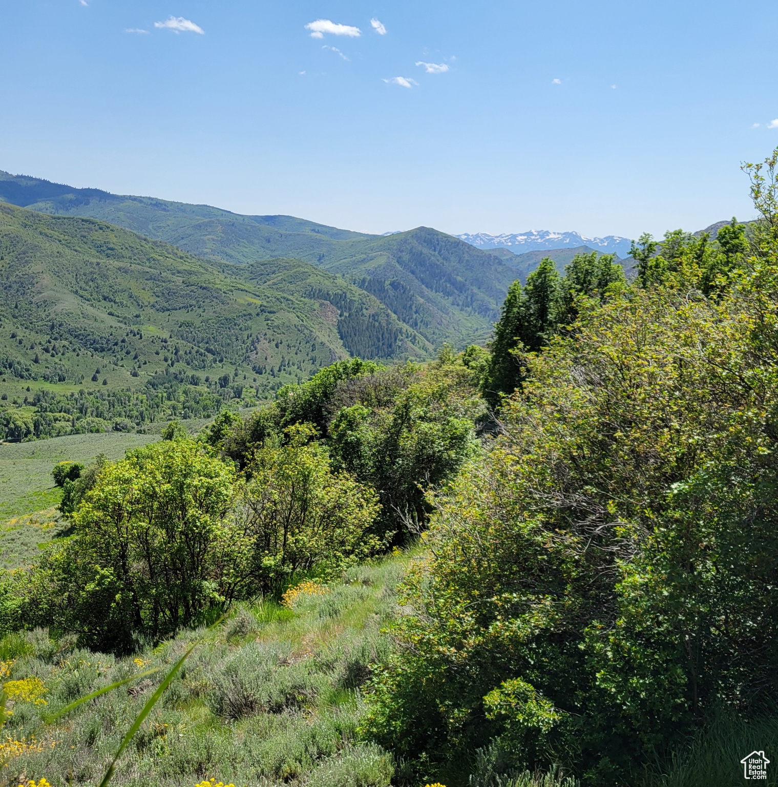 12737 E High Pine Cir #54, Huntsville, Utah image 1