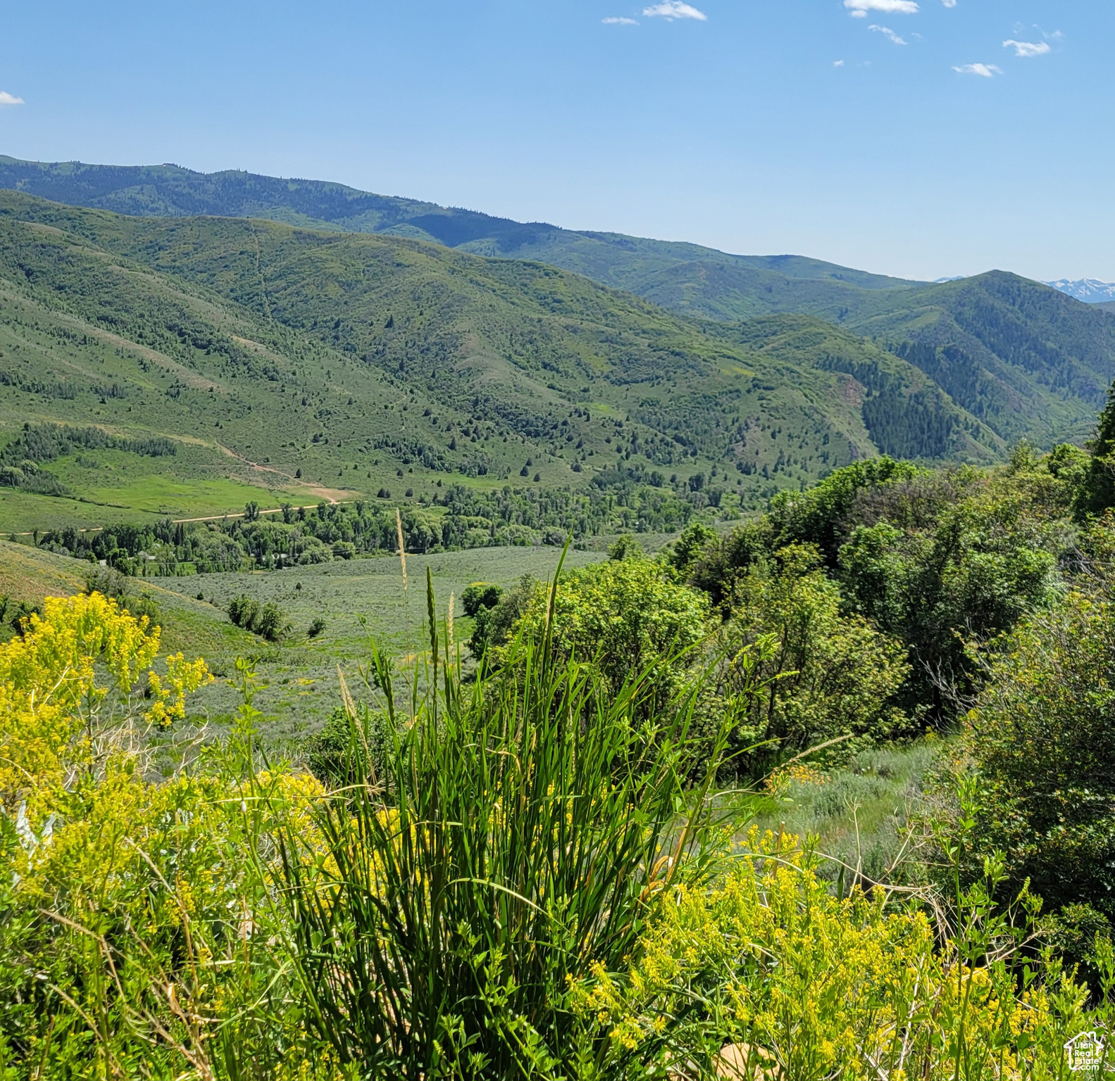12737 E High Pine Cir #54, Huntsville, Utah image 15