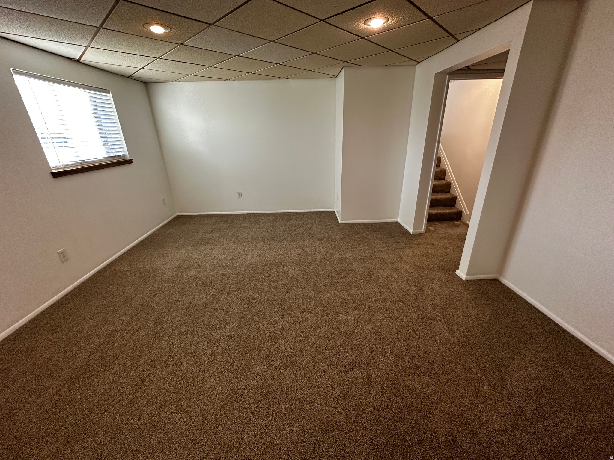 FOX SHADOW - Residential