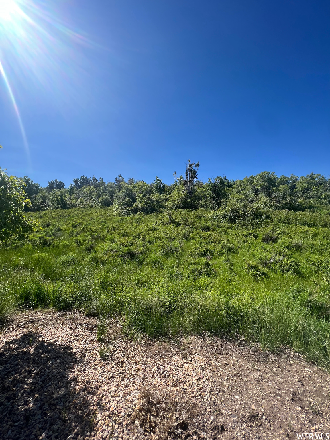 13606 E 22460, Fairview, Utah image 2