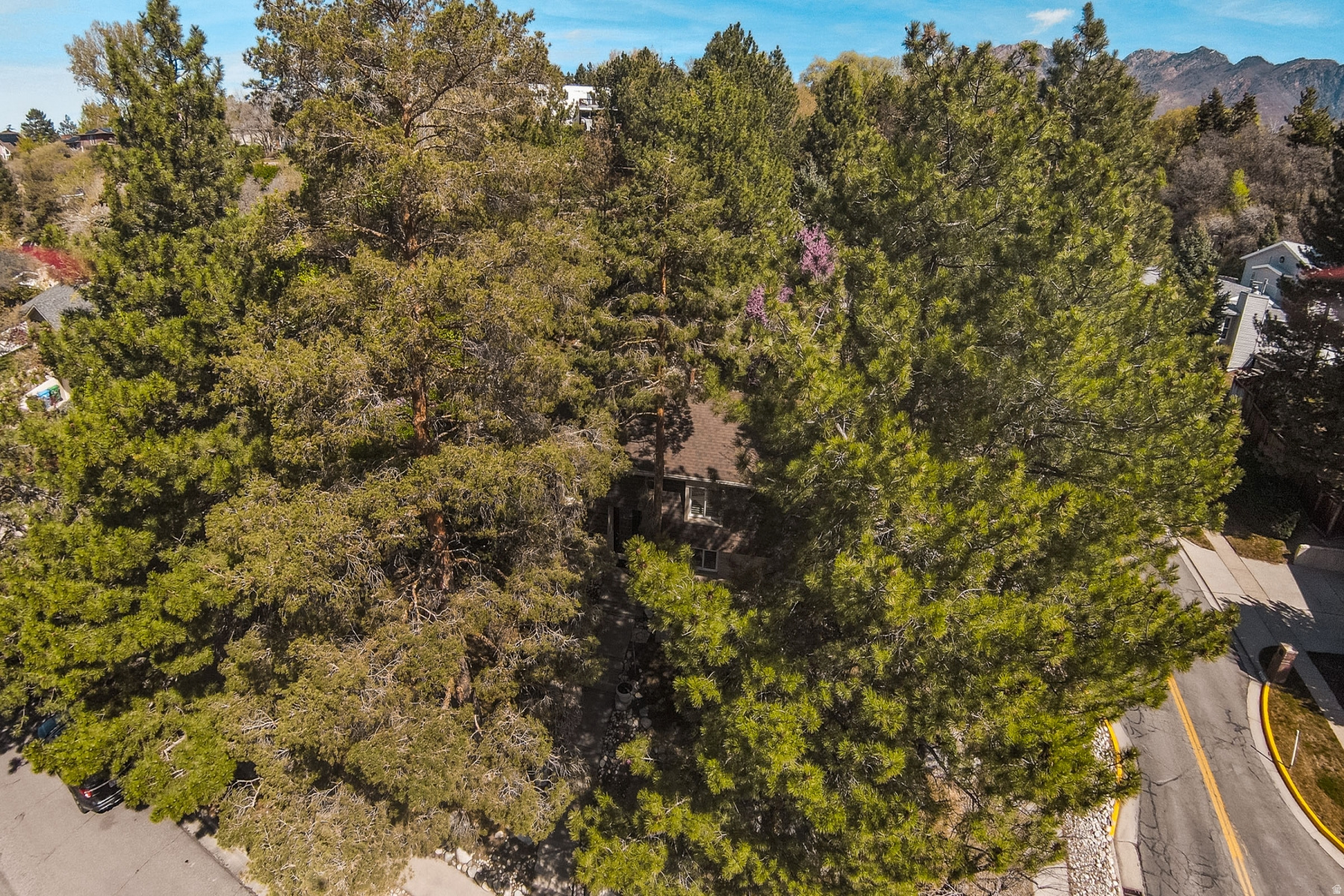 SOUTHLAND TERRACE - Residential