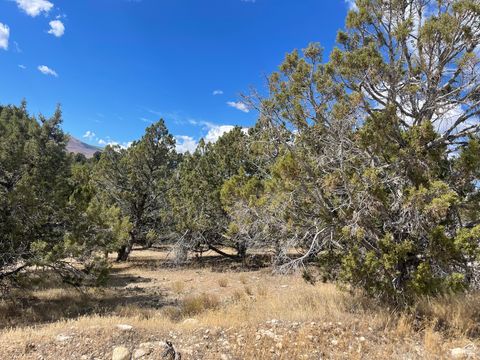 Photo of #48, Indianola, UT 84629 (MLS # 2114299)