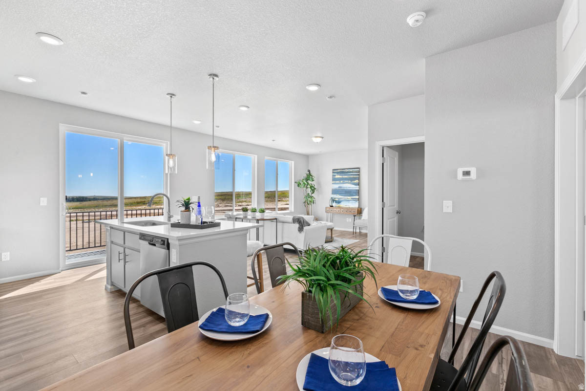 WANDER - Residential