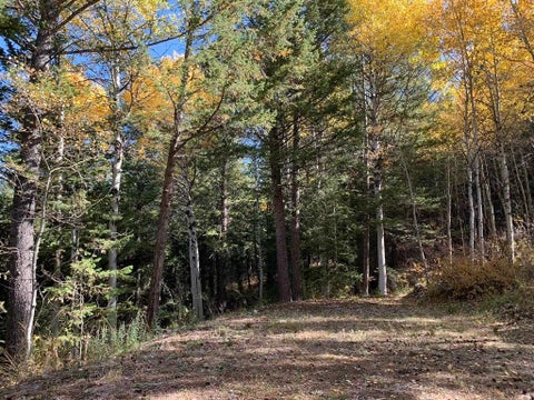 Vacant Land For Sale - 16 Skyline Cir #16<br/> Bannock County, Lava Hot Springs, ID 83246