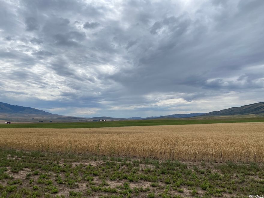 Price Reduced!! Looking for the ideal rural setting for a home or a recreational use? You have just found it! 160 acres sprawling acres. Located a short distance north of Malad and about a mile from Daniels reservoir. Electricity is at the property. Located on a county road that does not currently have winter maintenance. A few other homes close by. Multiple outdoor and recreational opportunities close by. Escape the craziness of the city and come to Idaho for your new homestead. May be possible to divide into 4, forty acre properties.