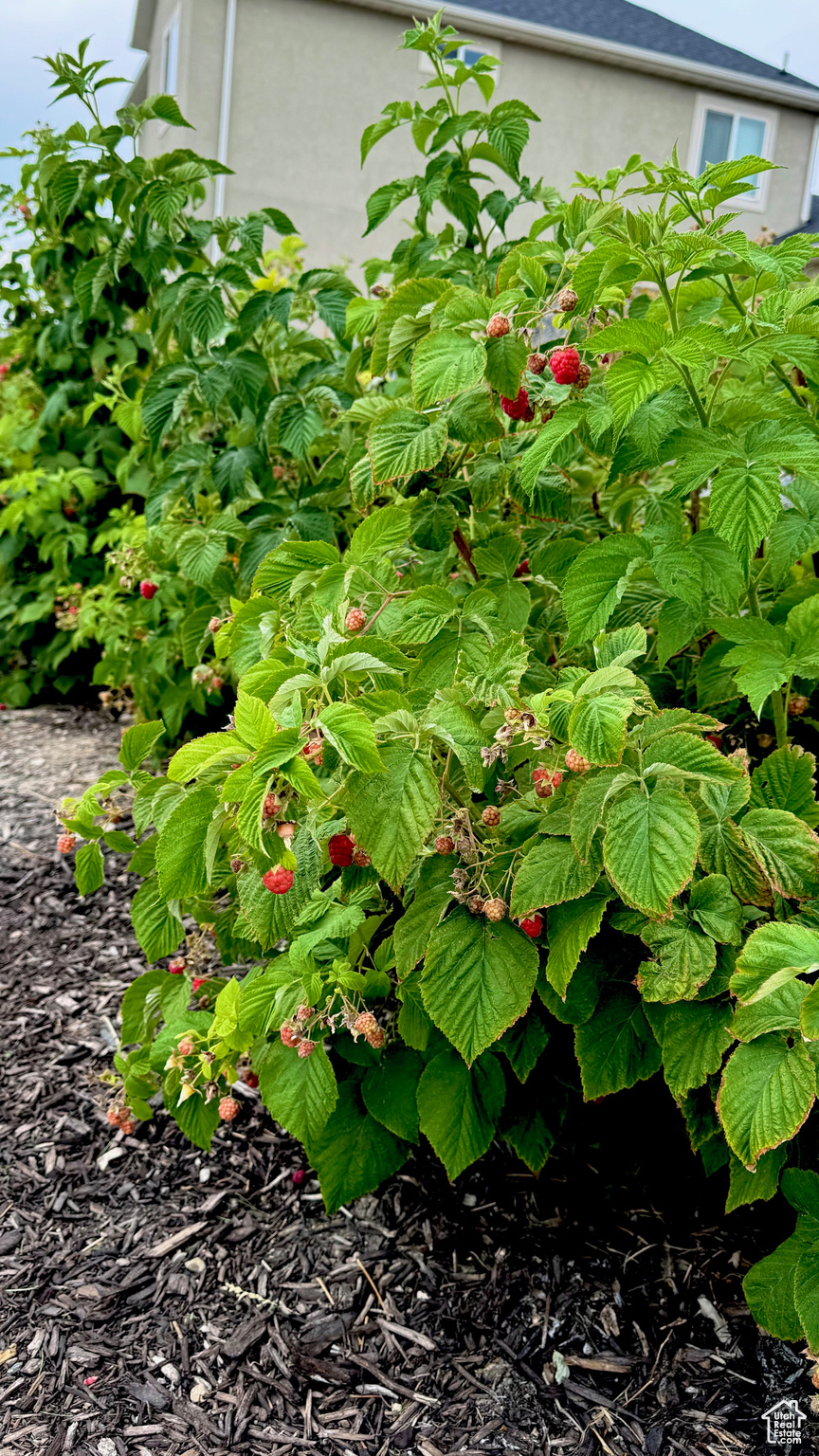 SKYLINE RIDGE - Residential