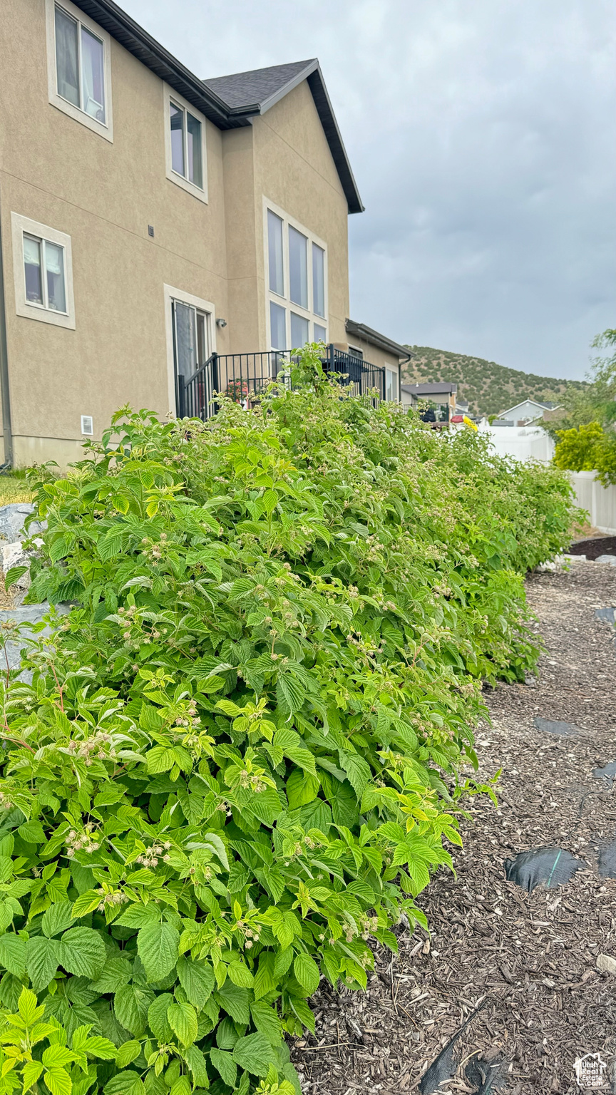 SKYLINE RIDGE - Residential