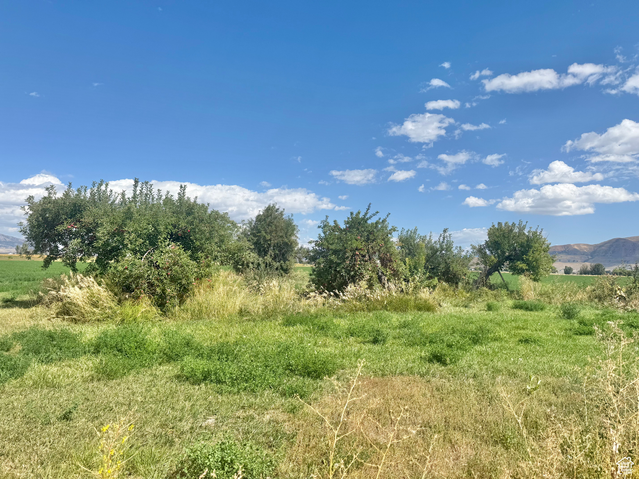 WINGS SUBDIVISION - Residential
