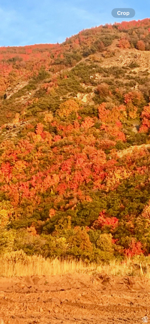 ROCK LOFT RIDGE ESTATES - Land