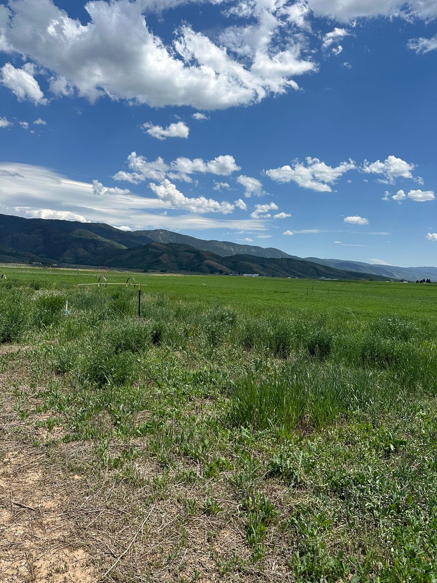 This 0.34 Acre Parcel Has So Much To Offer! Marvel at the Stunning 360 Degree Mountain and Valley Views, and Enjoy the Lifestyle of Hiking, Hunting and Fishing Nearby. Grace, ID is a "Great Place To Live" and the Perfect Place to Set Down Roots and Build Your New Home!! This Property has Water, Sewer, Gas, Power, and Fiber Optic Stubbed to the Lot, Paved Roads, and it's Located Just a Mile Outside of Denser Neighborhoods so it's Great For Walks In The Country and Walks Through Town. Plus, World Famous Lava Hot Springs is Just a Short 20 Minute Drive from Your Front Door! Come See the Potential for Your Forever Home and Country Living on This Lot Today! Call Listing Agent Today with Questions or Virtual Showing!