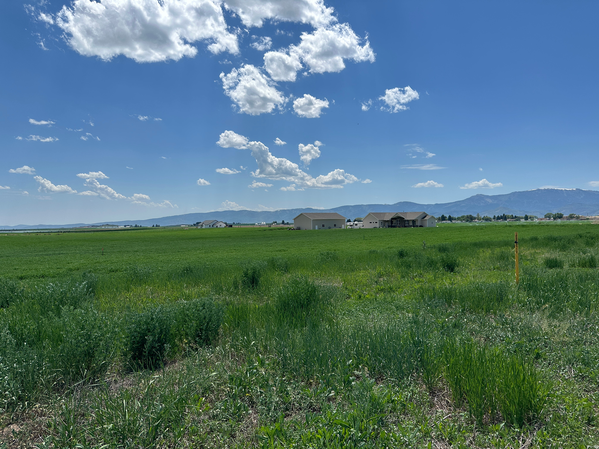 BURTON CANYON ESTATES - Land