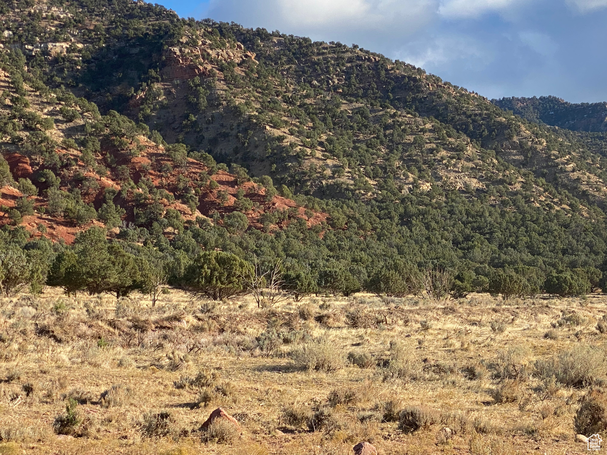 932 N Little Creek Canyon Rd, Paragonah, Utah image 6