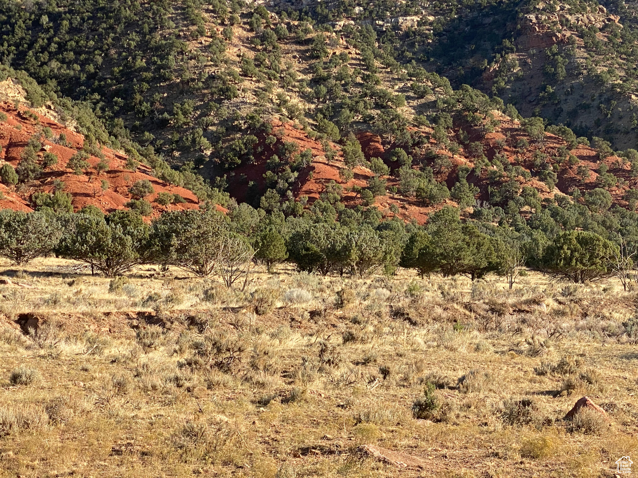 932 N Little Creek Canyon Rd, Paragonah, Utah image 7