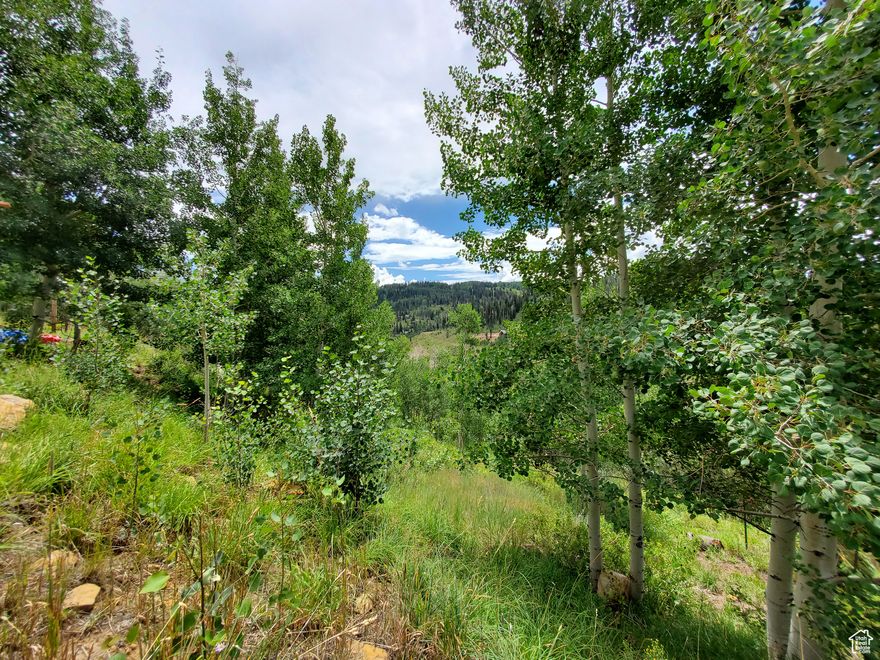 Mature aspen and pine trees with lush green undergrowth cover this property and a small year-round stream. Amazing views of the mountains, valley and Skyline Drive. A spring will provide fresh clear mountain spring water. Take advantage of a beautiful setting to build your dream getaway. Whether that is for trailers or a cabin or both, you can have it all with this property. You will need to build your own driveway and pad. Sewer would be septic, gas would be propane and solar or generator for power. Get away from the heat and traffic with your own hideaway. Enjoy cool clear crisp mountain air, nature at its finest! Mostly hillside with some gentle slope. Elevation is 8,813 ft. Easy access to the National Forest, Skyline Drive, plenty of lakes and streams, fishing, hunting and all types of recreation. Winter access by snowmobile or ATV on tracks. MLS map is correct. Google Maps & Earth is 39.70035, -111.27987. Buyer to verify all information.
