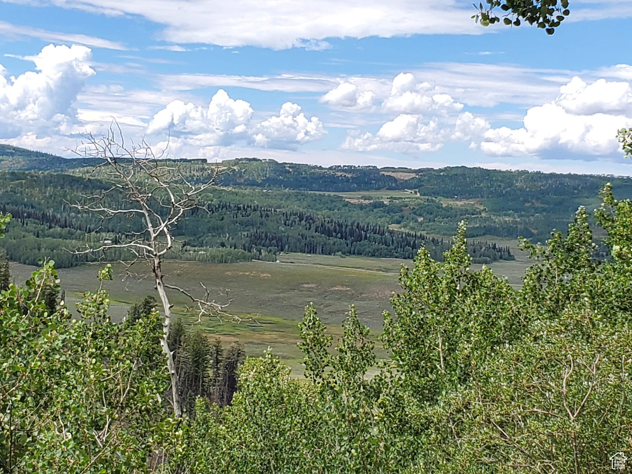GOOSEBERRY CANYON ESTATES - Land