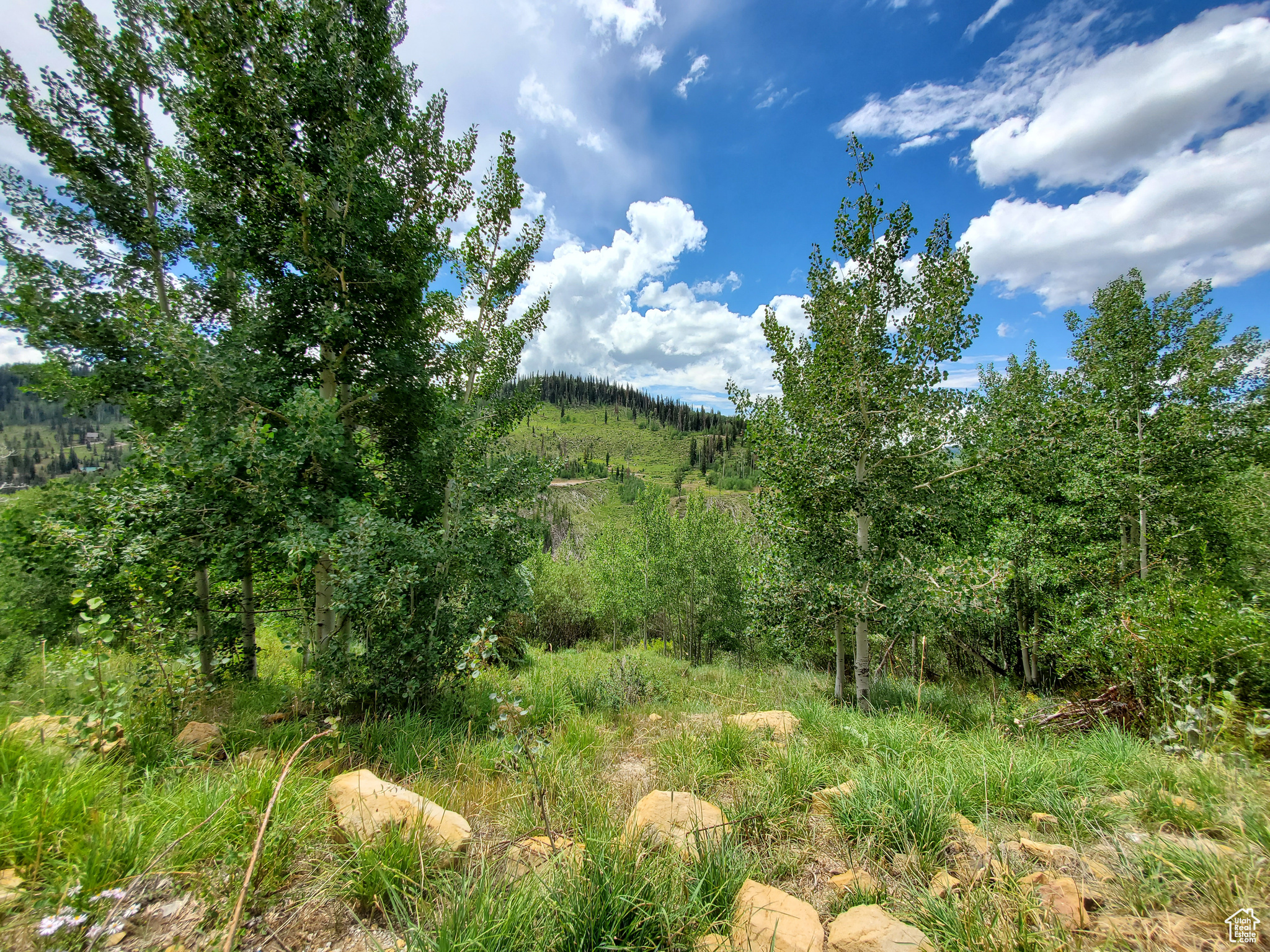 GOOSEBERRY CANYON ESTATES - Land