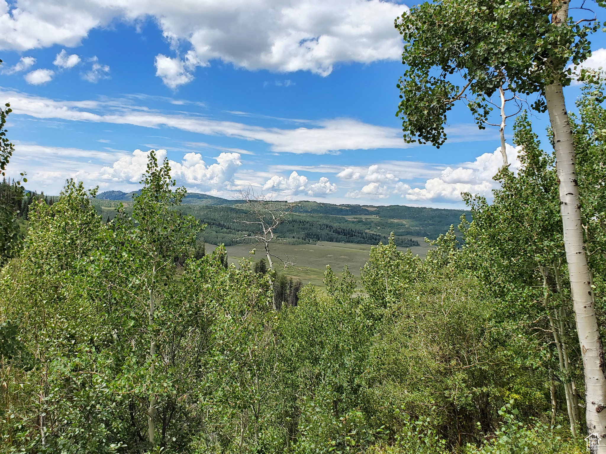 GOOSEBERRY CANYON ESTATES - Land