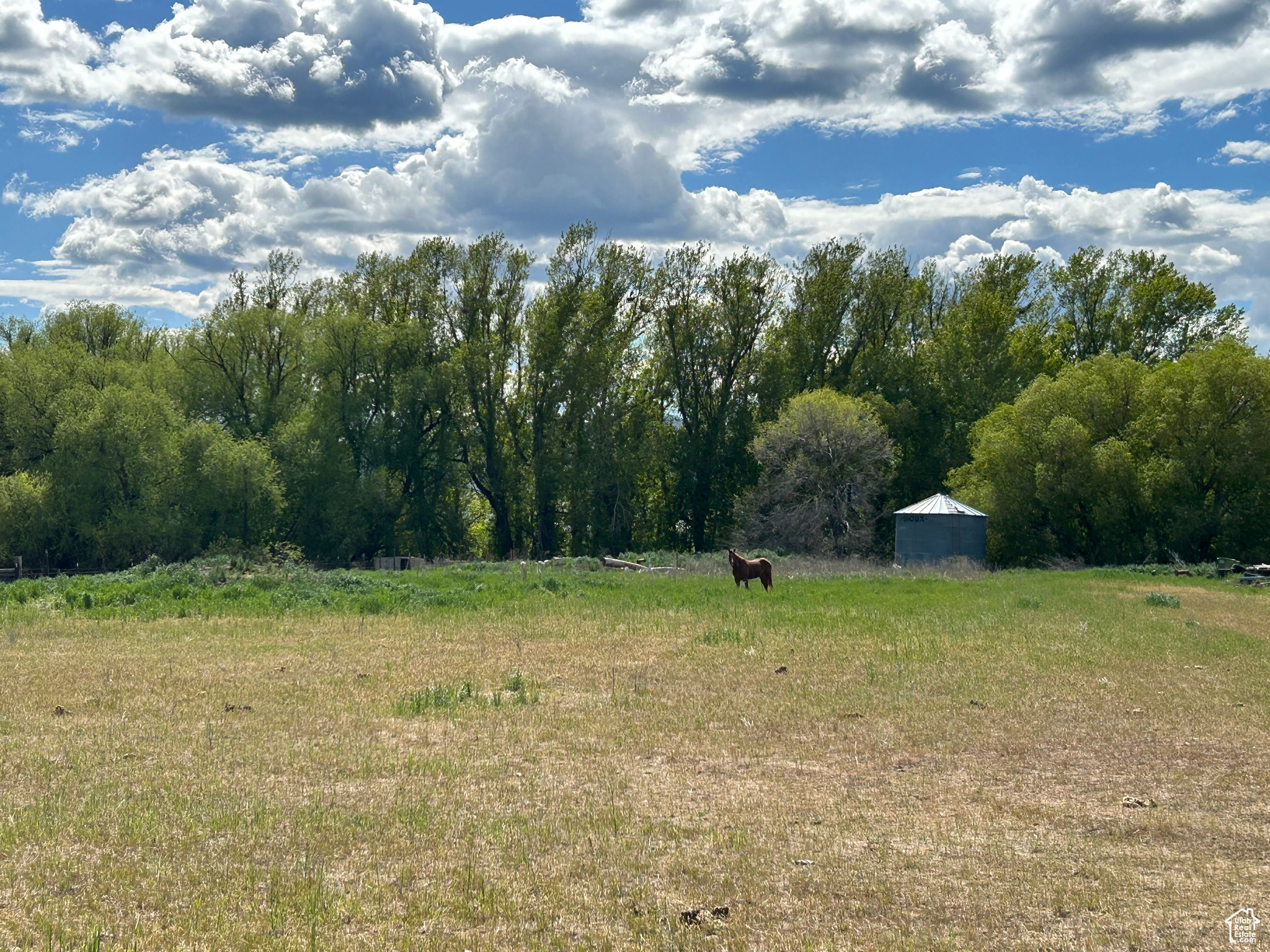 750 W 2100, Malad City, Idaho image 6