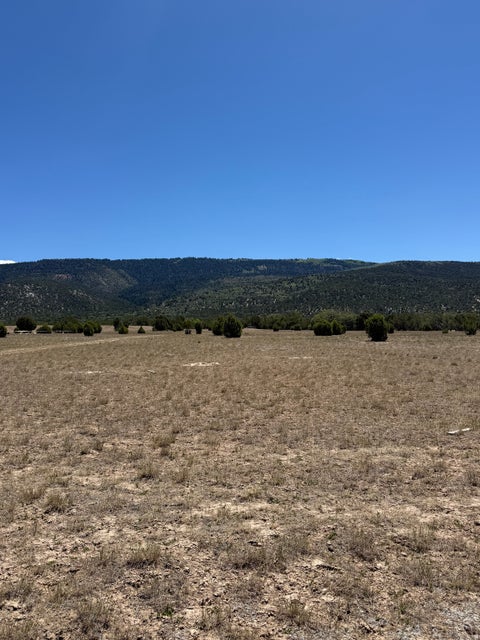 Vacant Land For Sale - #6<br/> Spring City, UT 84662
