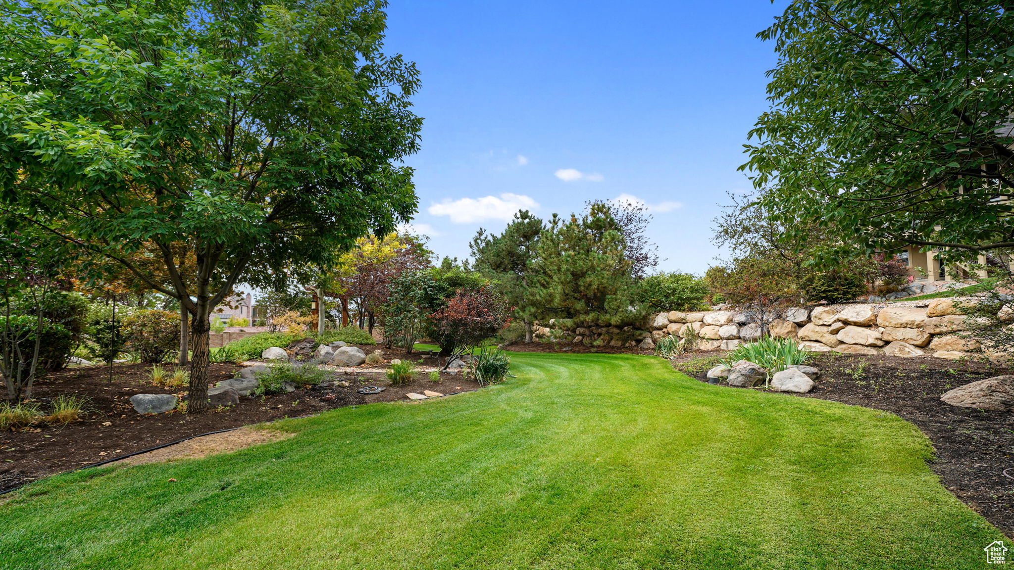 BISON RIDGE - Residential