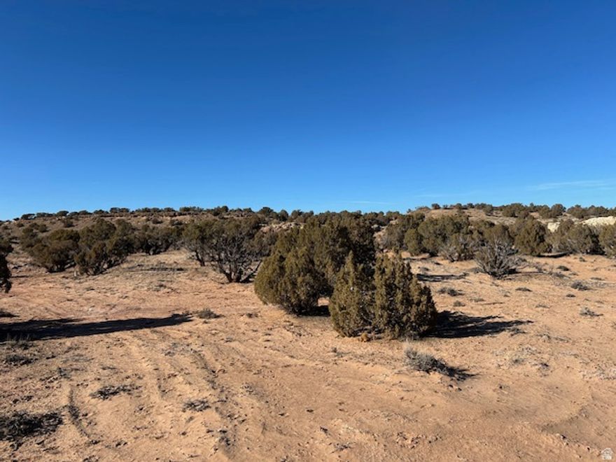 10 acre home site, just 15 minutes north of Roosevelt in the Cedarview area. The next door neighbor is currently building a home, and running all utilities to his property. This parcel is just off the paved road, with pinion-pine and juniper cover.