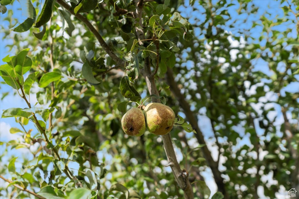 HARVEST HILLS PUD - Residential