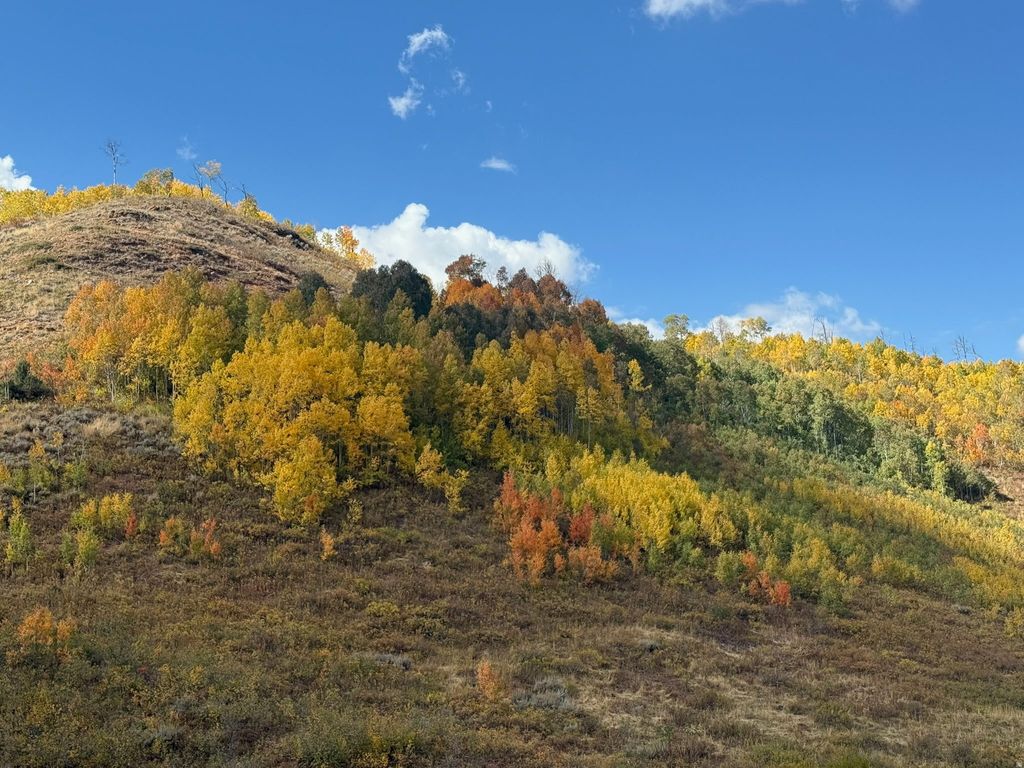 Photo of 5762 ASPEN WAY #20, Huntsville, UT 84317 (MLS # 2152857)