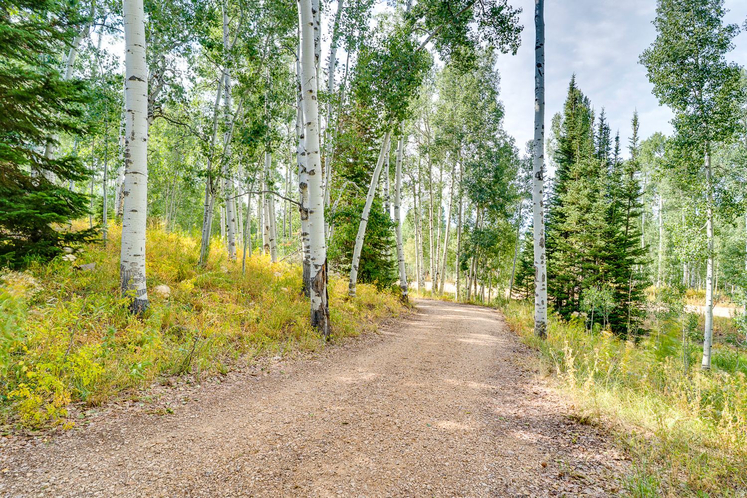 TIMBER LAKES - Residential
