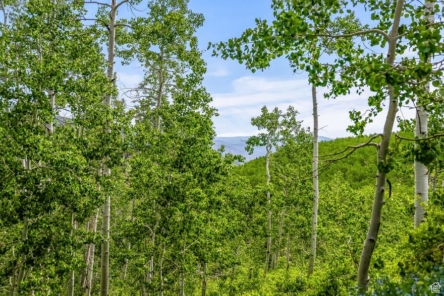 Nestled among mature aspen quakies, this heavily wooded 1.85-acre lot in Tollgate Canyon offers the perfect canvas for your dream mountain cabin. Experience year-round access while enjoying exceptional privacy and breathtaking views of the majestic Uinta Mountain Range to the east.  Located in the established Tollgate Canyon cabin community, this property sits just 20 minutes from Kimball Junction and a mere 35 minutes from Main Street Park City. Escape to your private forest retreat while keeping all of Park City's world-class amenities within easy reach.  This rare opportunity combines natural seclusion with convenient accessibility-your personal woodland sanctuary awaits.