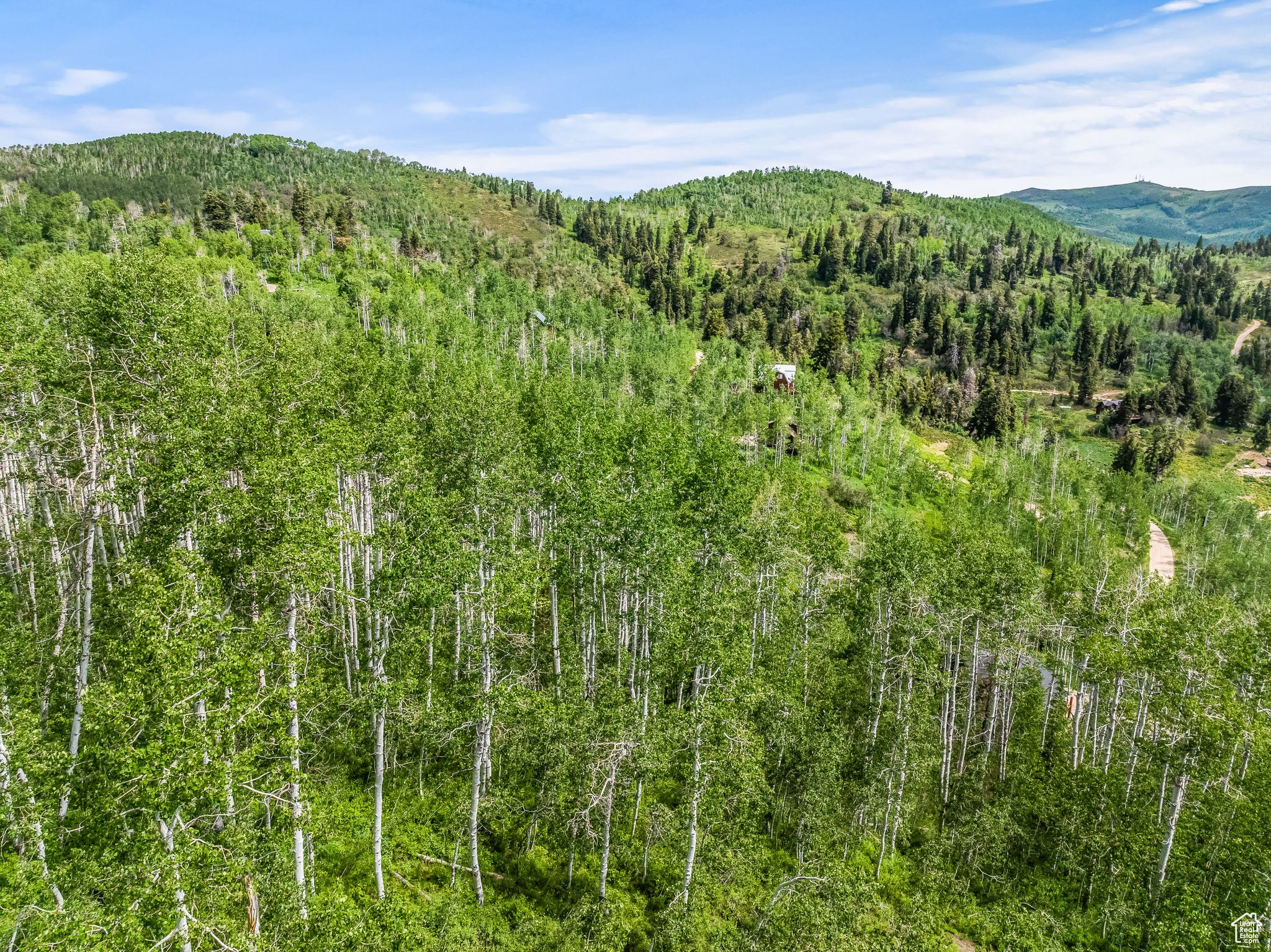 PINE MEADOW RANCH - Land