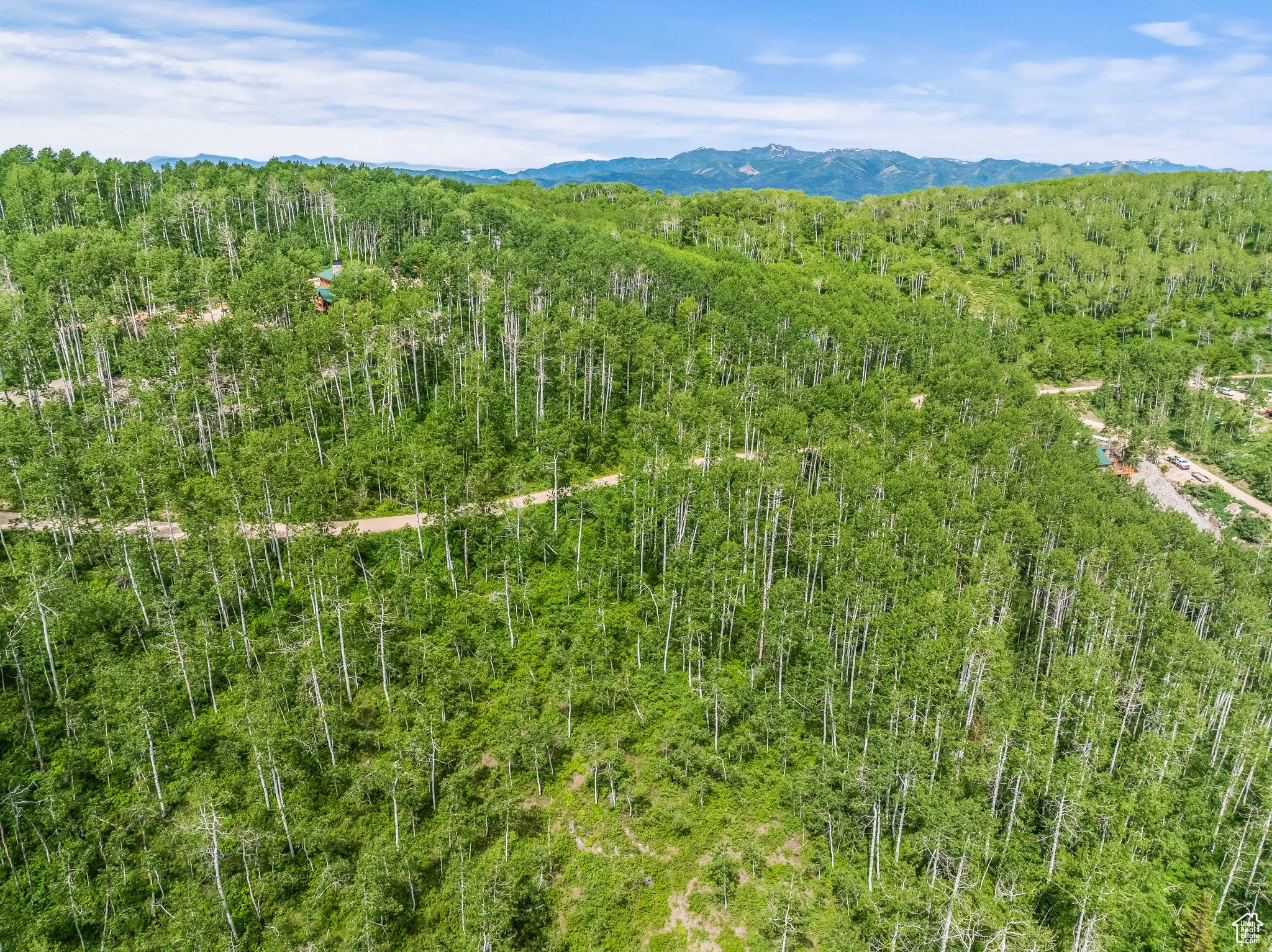 PINE MEADOW RANCH - Land