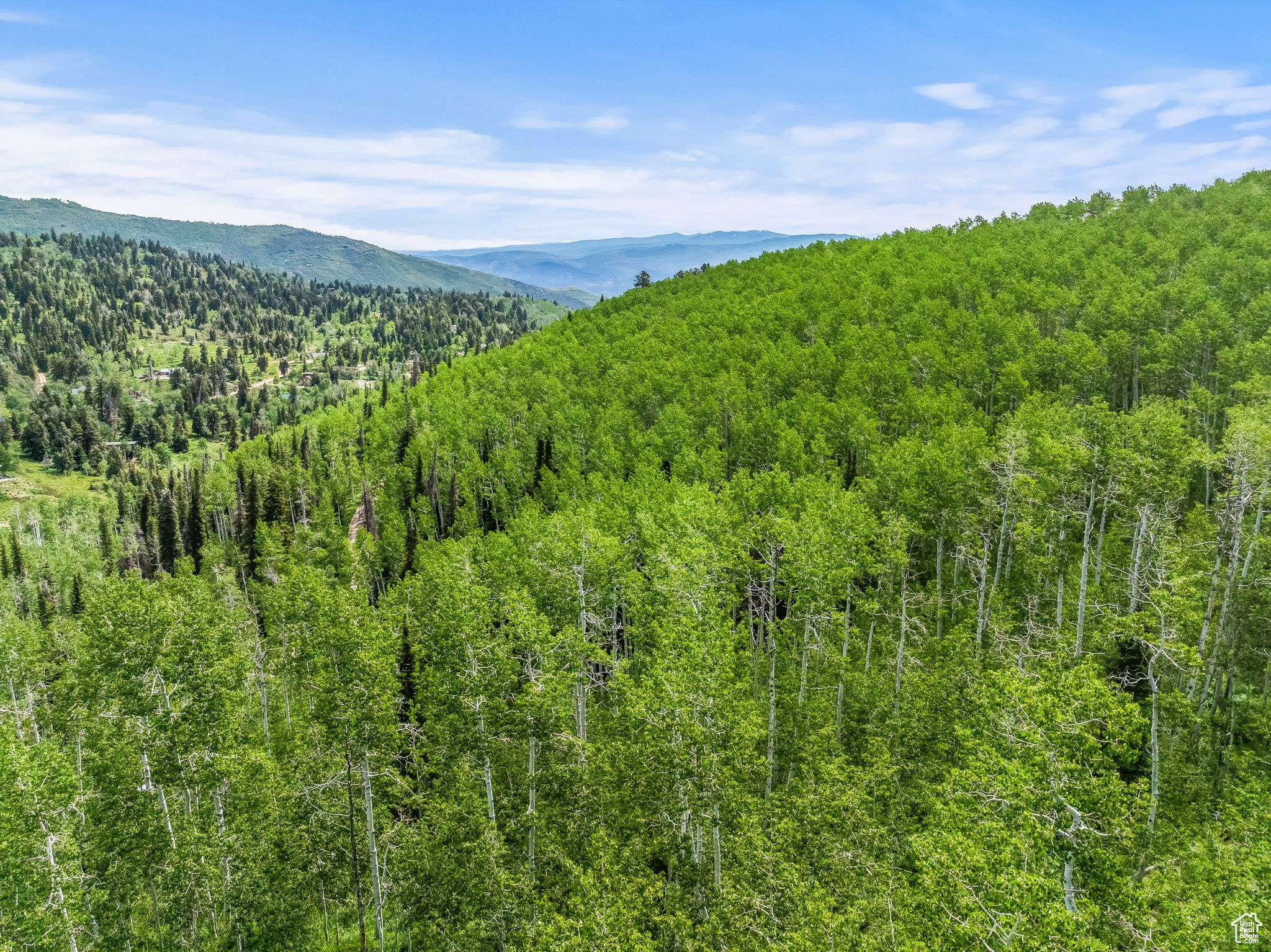 PINE MEADOW RANCH - Land