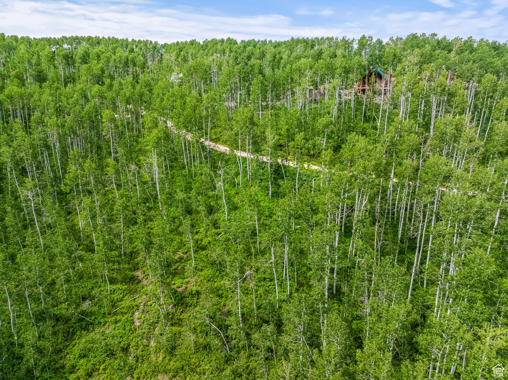 PINE MEADOW RANCH - Land