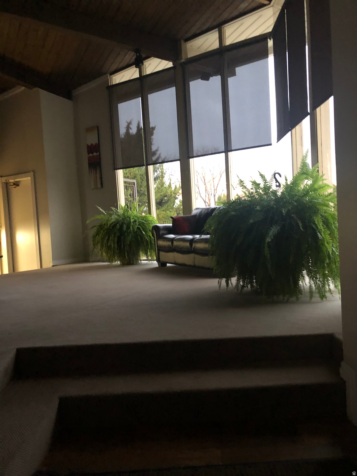 CEDAR SPRINGS - Residential