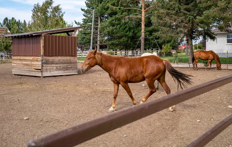 Tiny photo for 3400 S BIG HOLLOW RD, Daniel, UT 84032 (MLS # 2176040)