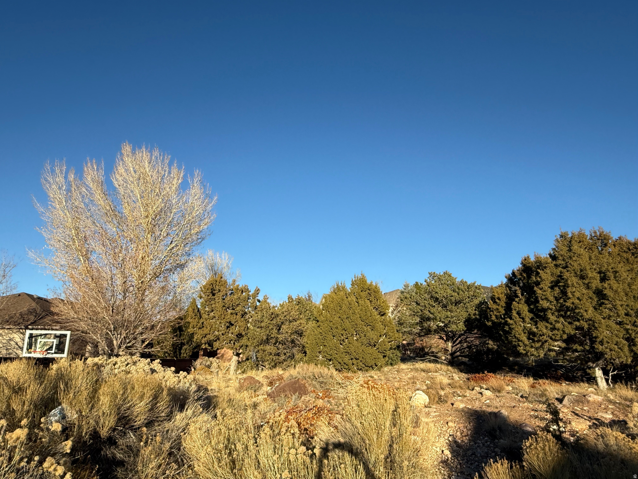 ASHDOWN FOREST - Land