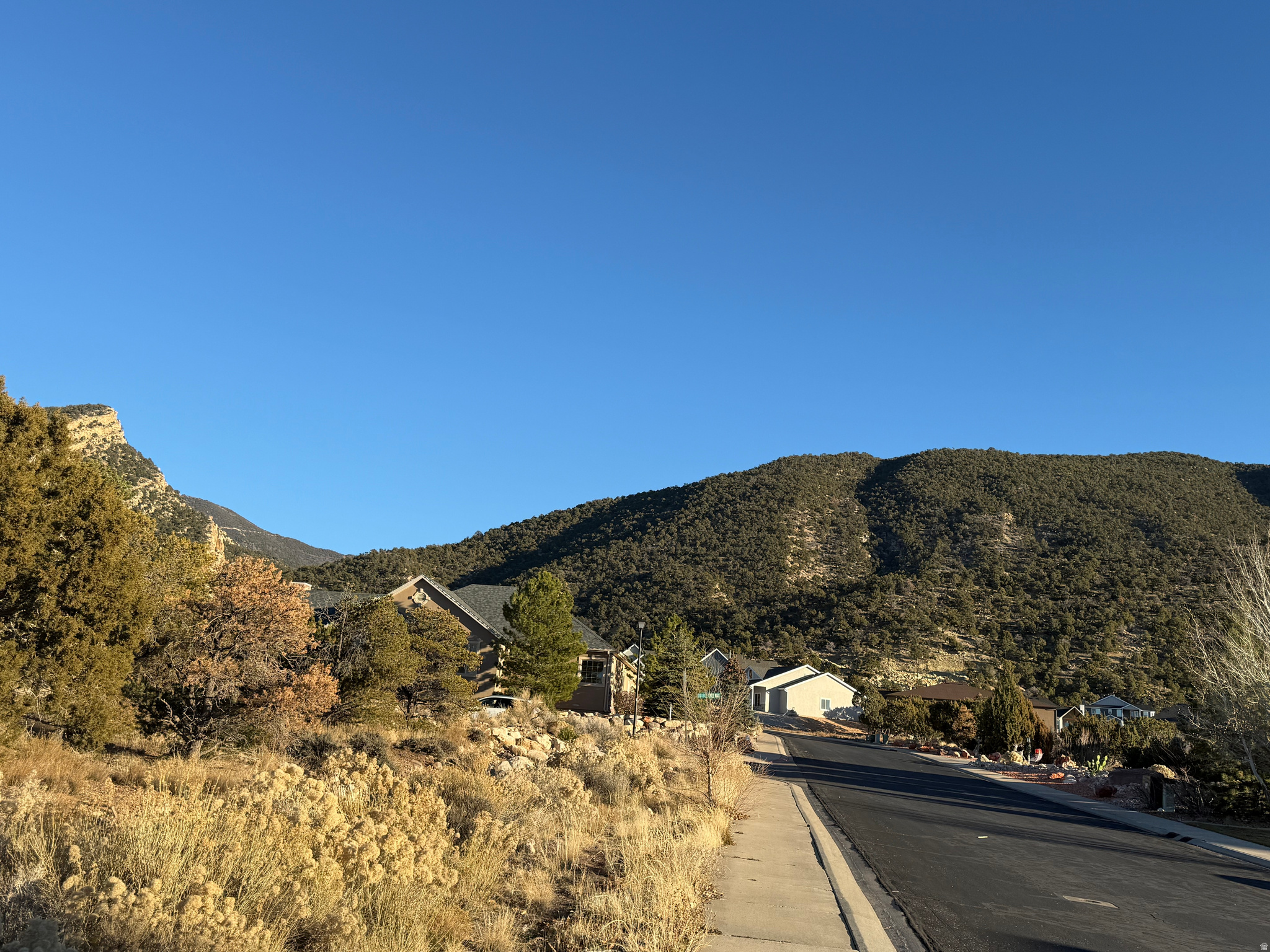 ASHDOWN FOREST - Land