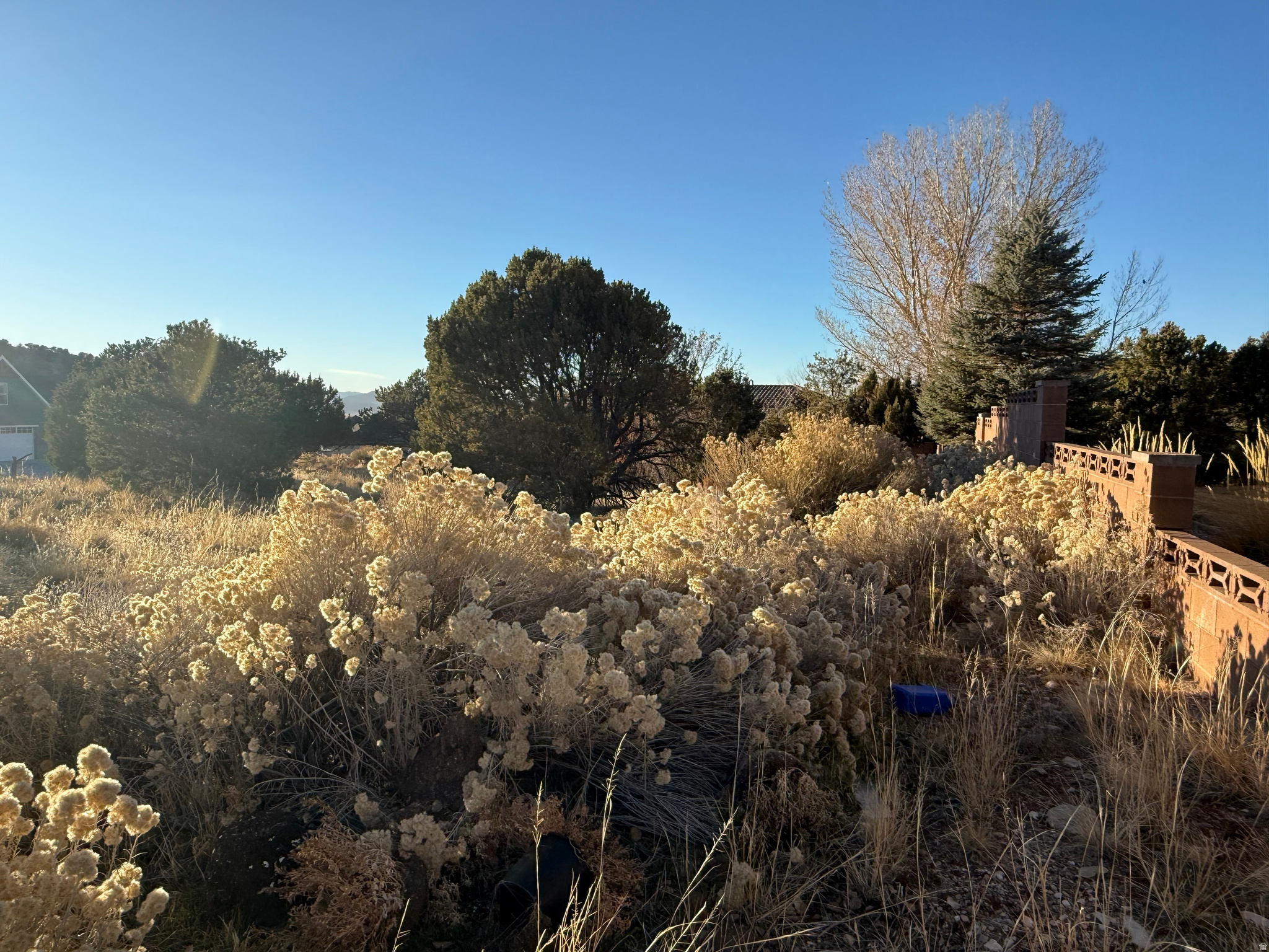 ASHDOWN FOREST - Land